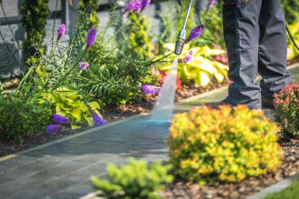 Best Winterizing Services  in Akron, IN